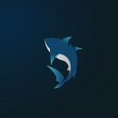 SharkDesign