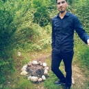 PoyaGhalehVisi