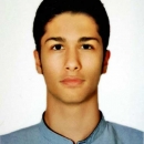 alipar-8