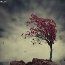 parisa_rs