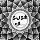 zahrarezaei9069