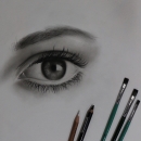 Senobar_drawing