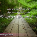 samineh1380