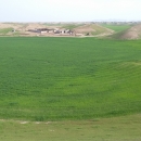 hesamiran13