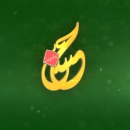 muhsen.muhaqeq