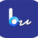 Blue_Programming