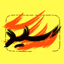 seyed_office