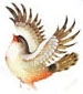 Sir_Hejazi