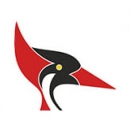 Darkoob-20
