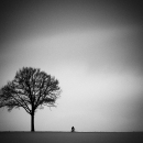 saji.osto-9