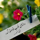 movafaghiyat