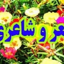saeed1212
