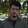 amirrezahaqi