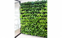 دیوار-سبز-گرین-وال-مدولار-طراحی-اجرا