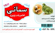 کارت-ویزیت-کاتالوگ-کاری-طراحی