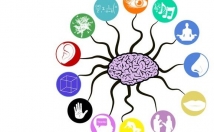 بگم-شغلی-سریع-موفقیت-می-رسید