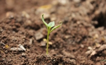 ترجمه-انگلیسی-فارسی-متون-کامپیوتر-شبکه-پزشکی-مدیریت