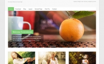 سایت-وردپرسی-ریسپانسیو-طراحی