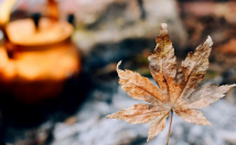 ویدئو-سایت-اشتراک-ویدئو-ثبت