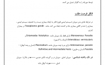 تایپ-جزوه-مطالب-شمارو-سرعت-غلط