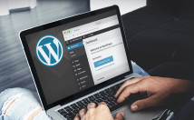 طراحی-سایت-وردپرسی