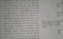 مقاله-انگلیسی-ترجمه-بهترین-کیفیت-کمترین-هزینه