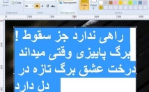 تایپ-متون-مطالب-فارسی