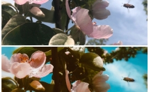 ویرایش-عکس-کیفیت-متود-روز