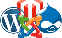 سیستم-مدیریت-محتوای-مورد-نصب-پیکربندی