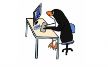 کار-تایپ-دقت-بالا-زمان-کم