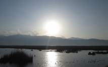 فایل-صوتی-برنامه-word-رونویسی-تایپ-البته-نمودار-وشکل