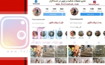 ممبر-کانال-طلگرام-بالا-ببرم