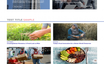 طراحی-سایت-جوملا-وردپرس