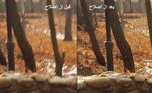 کیفیت-تصویر-دوربر-لرزش-بهتر-ابعاد-x-افت-کیفیت-تضمینی-بالاتر-ببرم