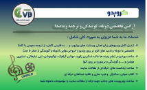 شکل-تخصصی-انواع-کلیپ-زبان-اصلی-ترجمه-گویندگی-دوبله-فارسی