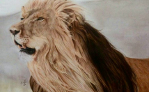 طراحی-ازچهره-عکسی-میخواید-ارسال