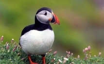 تایپ-نمونه-کار-می-فرستم