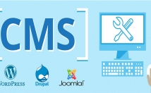 خدمات-نصب-سیستم-مدیریت-محتوا