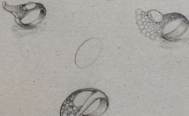 زیورآلات-قطعات-زیبا-خاص-طراحی-اجرا-ارائه