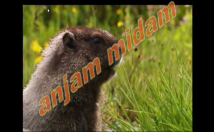 فیلم-کلیپی-حجم-شو-کم-زیادکنم-صدا-گذاری-میکس-براش-وغیره