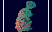 صورت-دستی-همچنین-دیجیتال-تصویر-سازی-جلد-کتاب