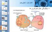 پاورپوینت-اسلایدهای-حرفه-برات-بسازم