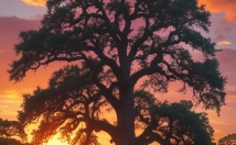 پروژه-ویدیوی-شورت-یوتیوب-صفر-صد-موضوعی-سبک-استایلی