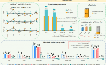انواع-مختلف-پروژه‌های-اکسل-ساخت-فرم‌ها-فرمول‌نویسی‌-پیشرفته