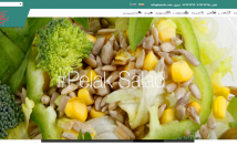 یک-سایت-ریسپانسیو-شیک-پنل-مدیریت-کامل-طراحی-فروشگاه-سایت-شخصی