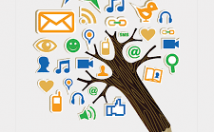 محتوای-مورد-نیاز-کیفیت-رعایت-سئو-تهیه