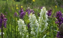 تایپ-متن-ورود-اطلاعات