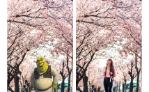 فتوشاپ-عکس-متن-تصاویر-اضافه-کاری-مرتبط-عکس-میدم