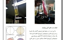 ترجمه-متون-جزوات-مقالات-حیطه-پزشکی-نظم-دقت-بالا-عهده