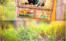 آلبوم-عکس-ویدئوی-سه-بعدی-عکسها-فیلم-تهیه